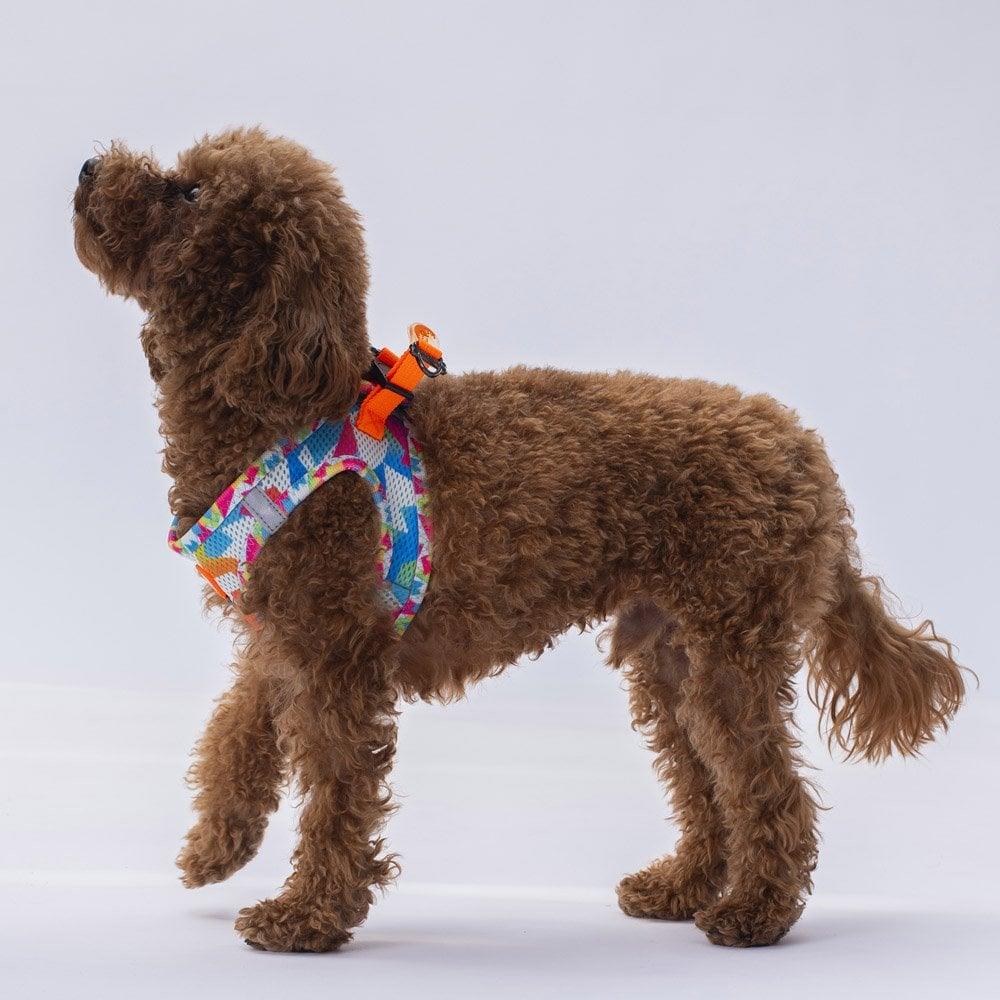 PawStar Airmesh Mosaic Chest Collar