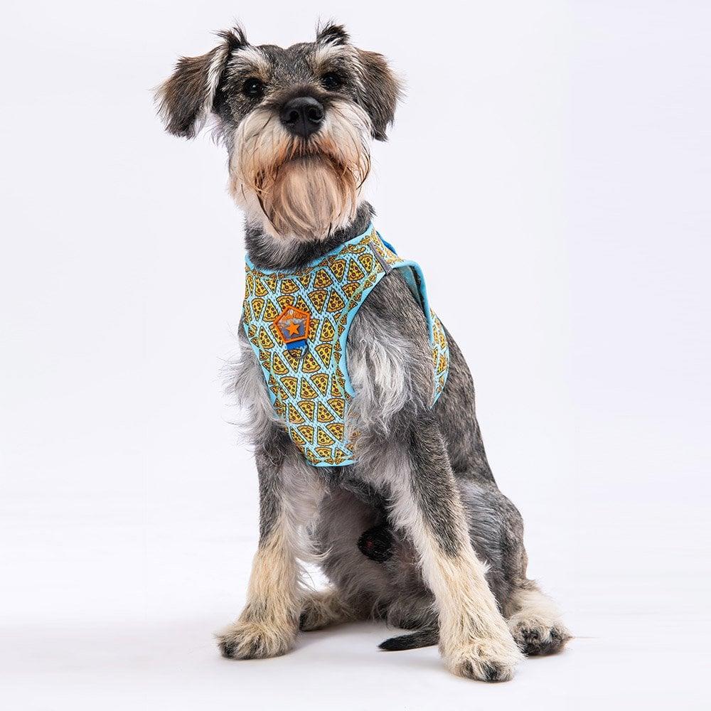 PawStar Airmesh Pizza Chest Collar