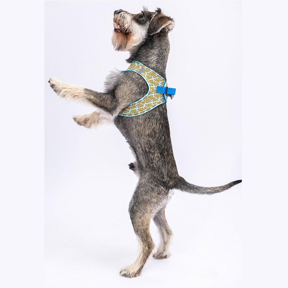 PawStar Airmesh Pizza Chest Collar