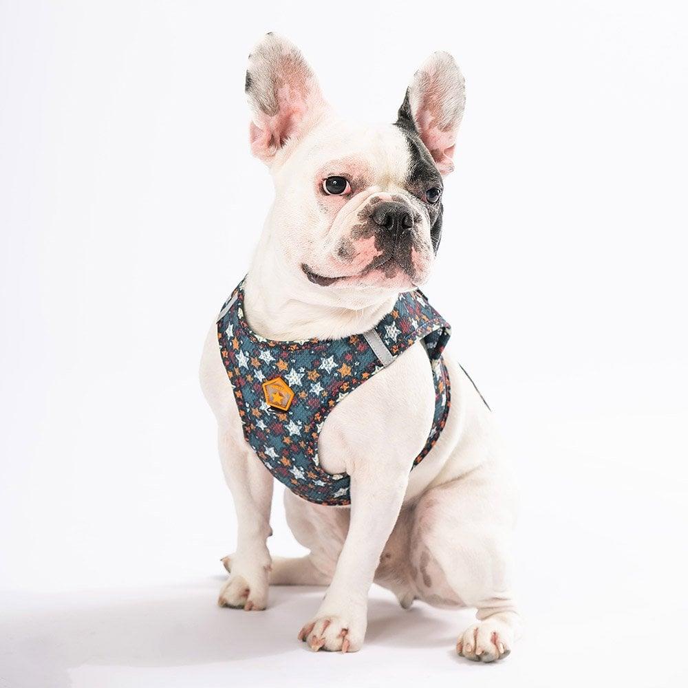 PawStar  Airmesh Stallae Göğüs Tasması