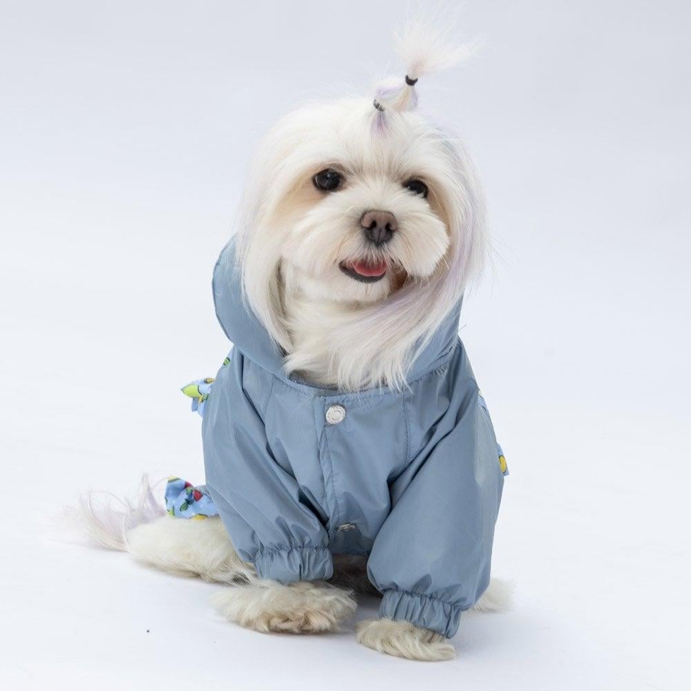 PawStar  Gri Victoria Yağmurluk Küçük ve Orta Irk