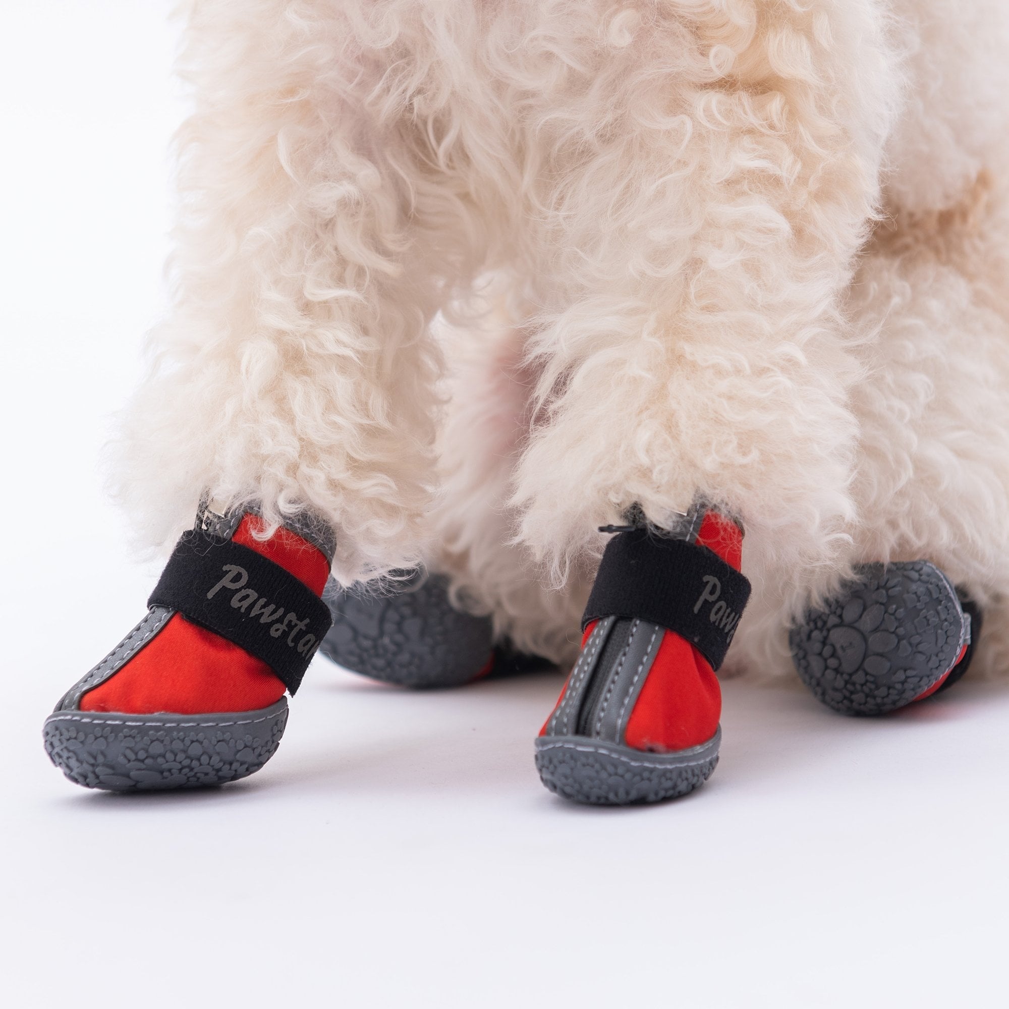PawStar  Kırmızı Köpek Ayakkabısı