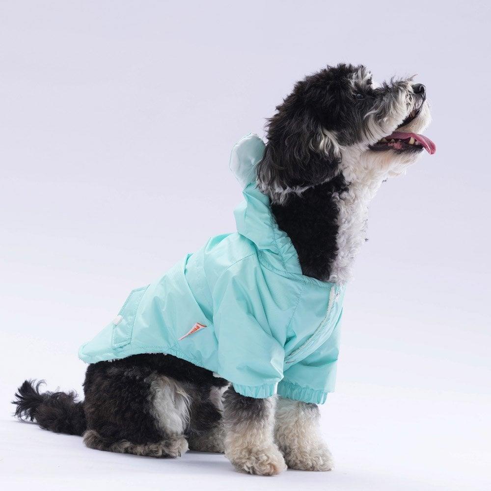 PawStar  Mint Sydney Yağmurluk Küçük ve Orta Irk