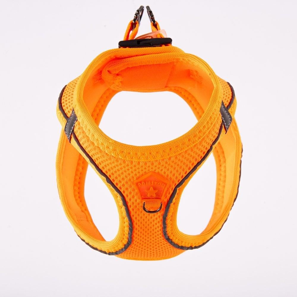 PawStar  Neon Orange - Neon Turuncu Airmesh Köpek Göğüs Tasması