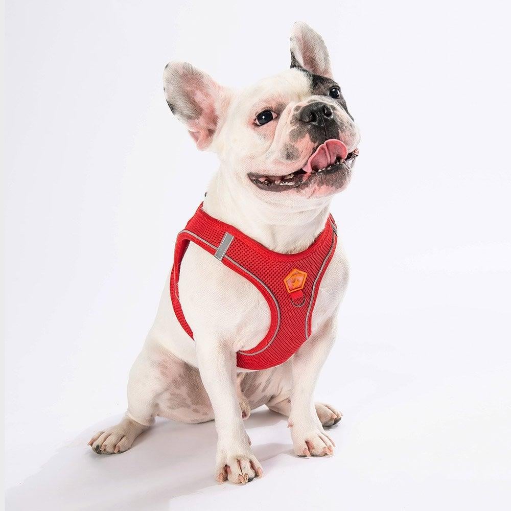 PawStar Red- Red Airmesh Dog Harness