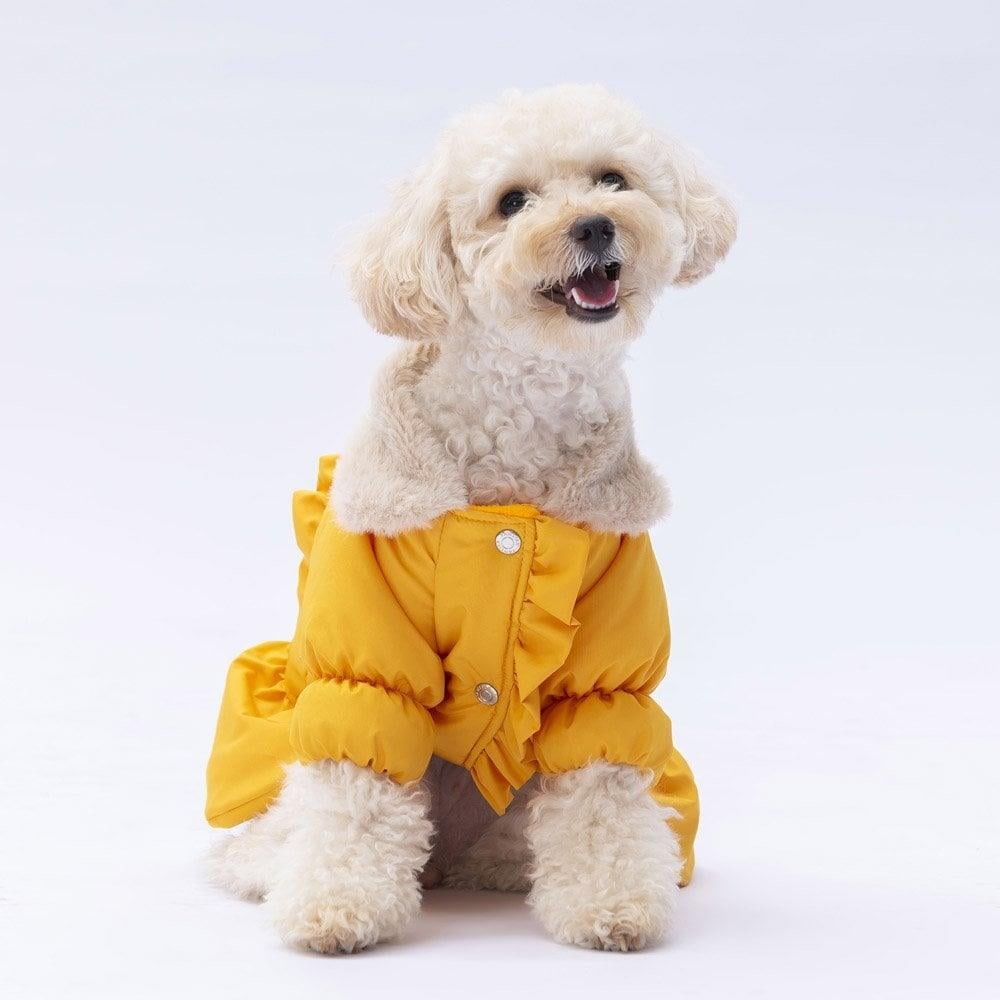 PawStar  Sarı Elizabeth Yağmurluk Küçük ve Orta Irk