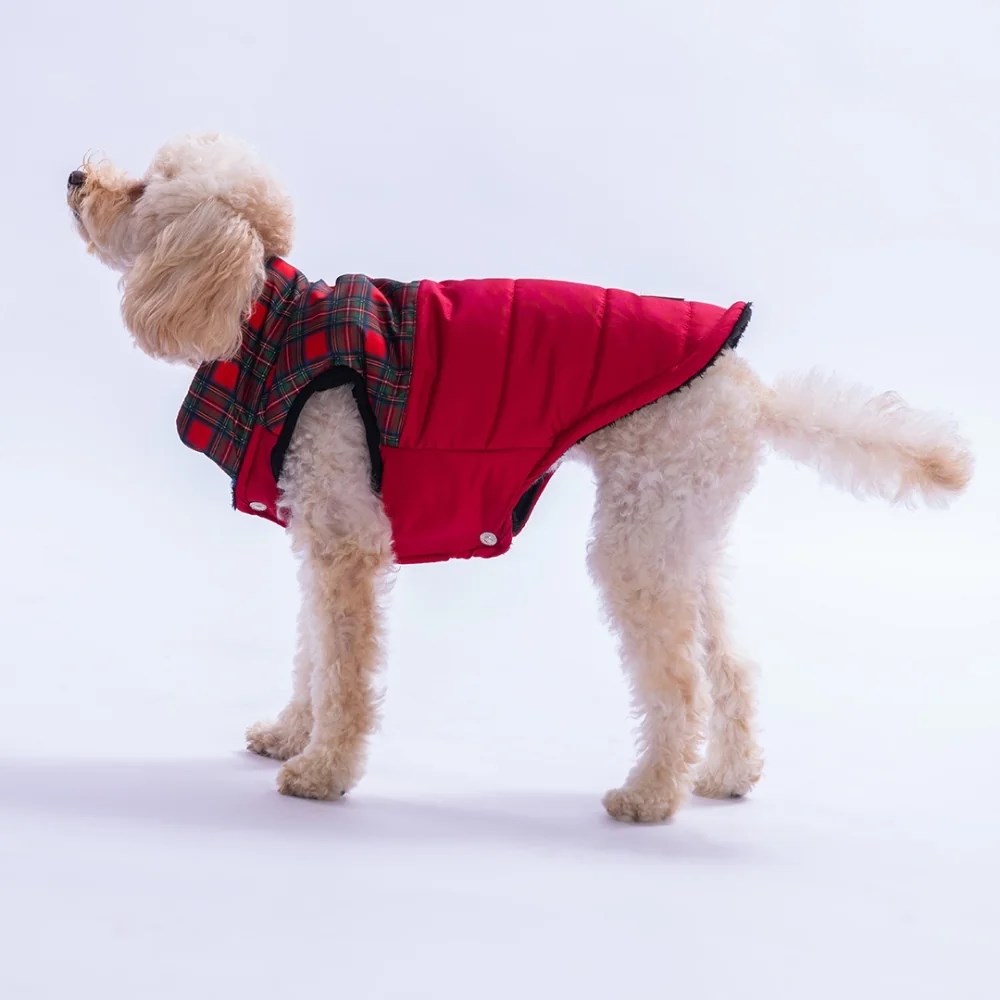 PawStar 25101 Kırmızı Elgin Paws Yelek Küçük ve Orta Irk