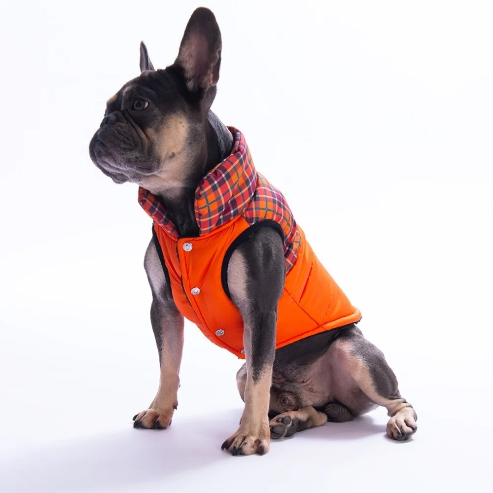 PawStar 25102 Turuncu Elgin Paws Yelek Küçük ve Orta Irk