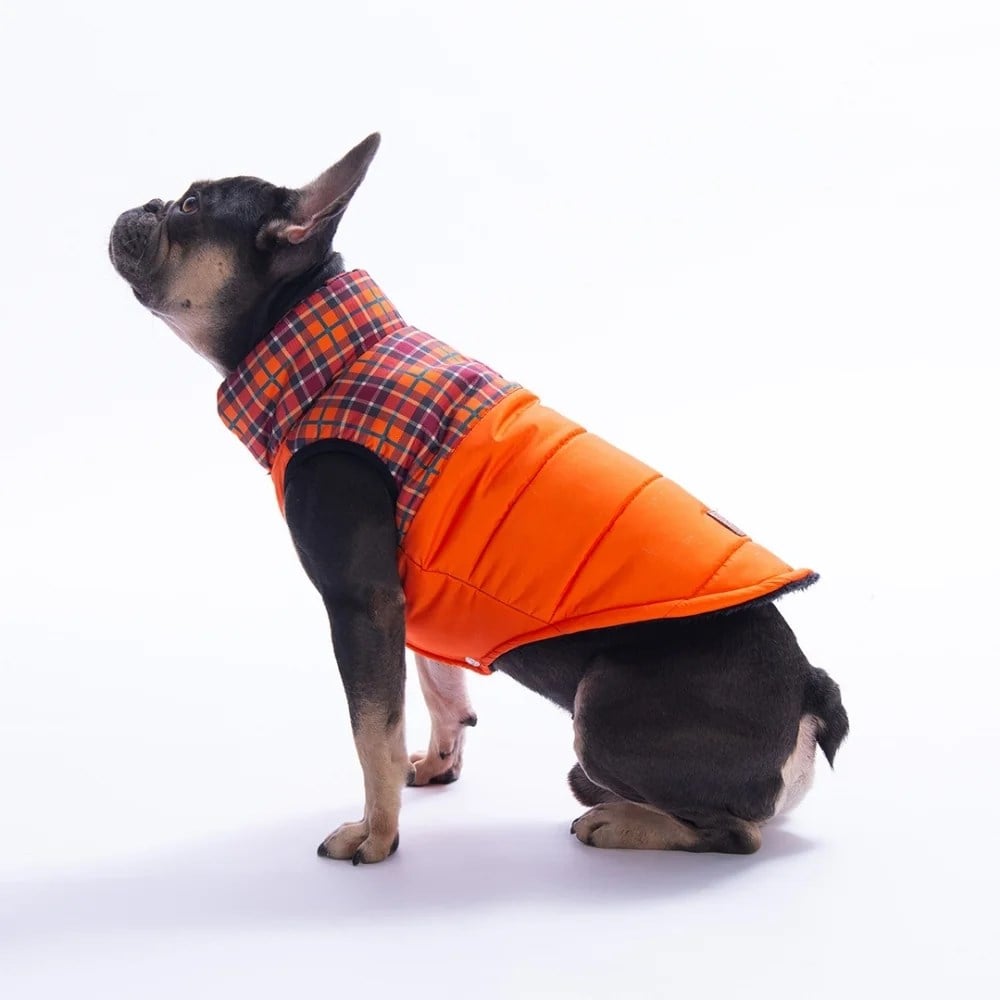 PawStar 25102 Turuncu Elgin Paws Yelek Küçük ve Orta Irk