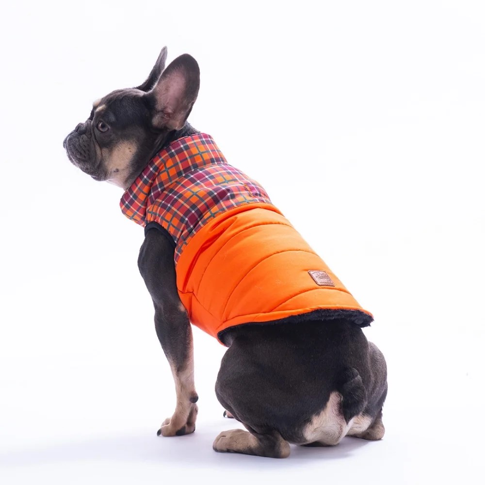 PawStar 25102 Turuncu Elgin Paws Yelek Küçük ve Orta Irk