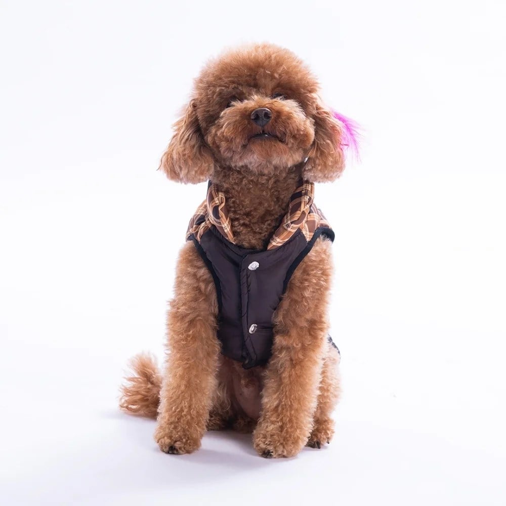 PawStar 25103 Kahverengi Elgin Paws Yelek Küçük ve Orta Irk