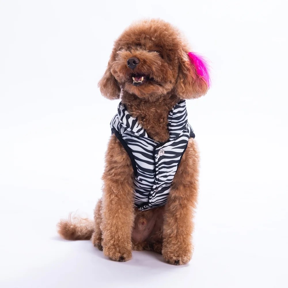 PawStar 25107 Lodwar Street Yelek Küçük ve Orta Irk