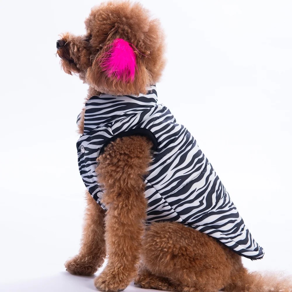 PawStar 25107 Lodwar Street Yelek Küçük ve Orta Irk