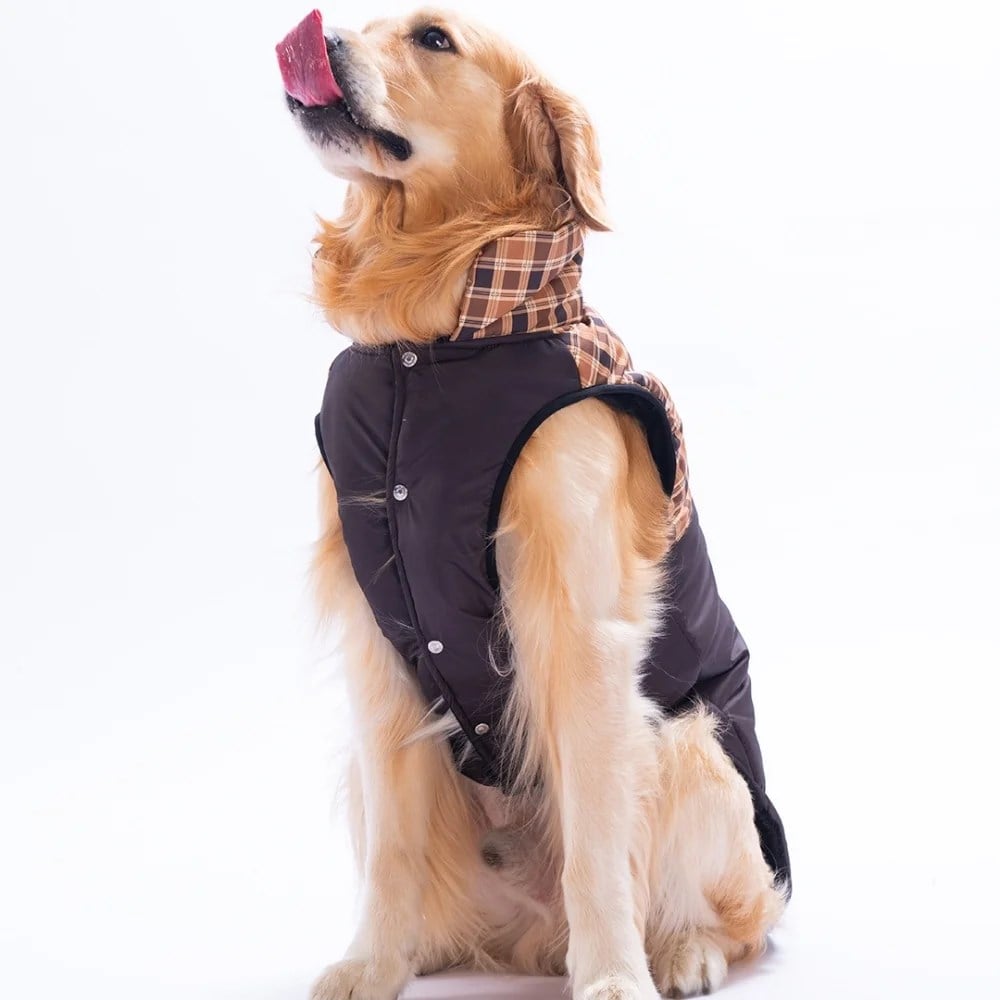 PawStar 25152 Kahverengi Elgin Paws Büyük Irk Yelek