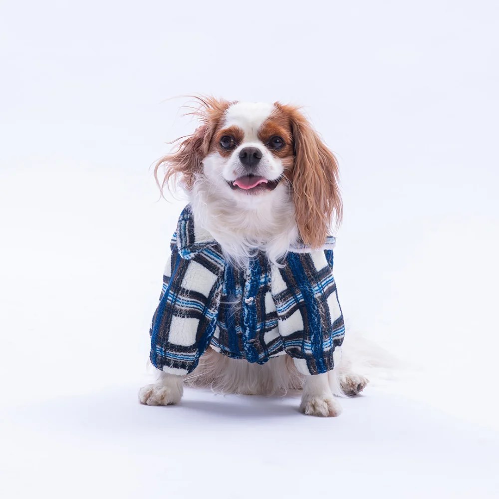 PawStar 25205-Mavi Chicago Ceket