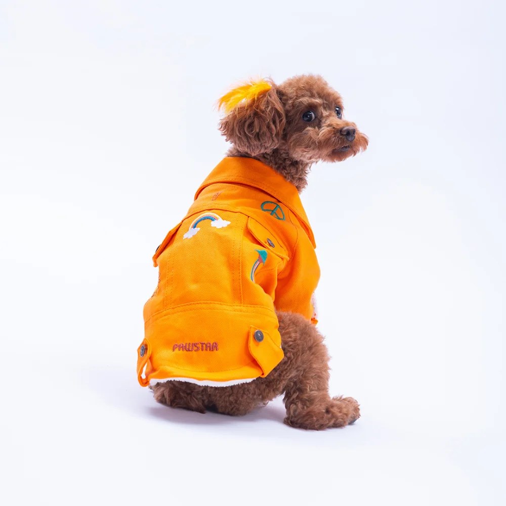PawStar 25211-Turuncu Cancun Pop Ceket