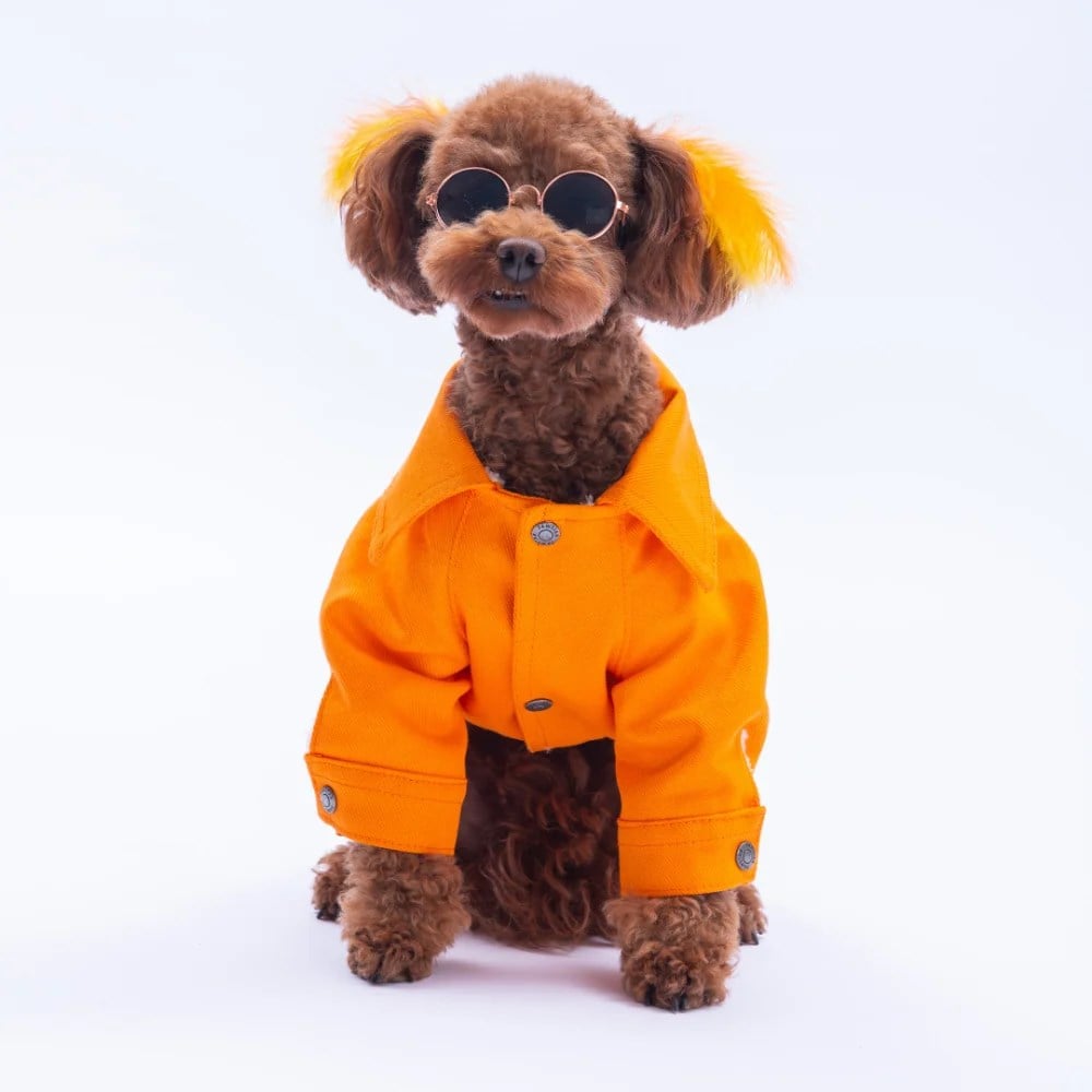 PawStar 25211-Turuncu Cancun Pop Ceket