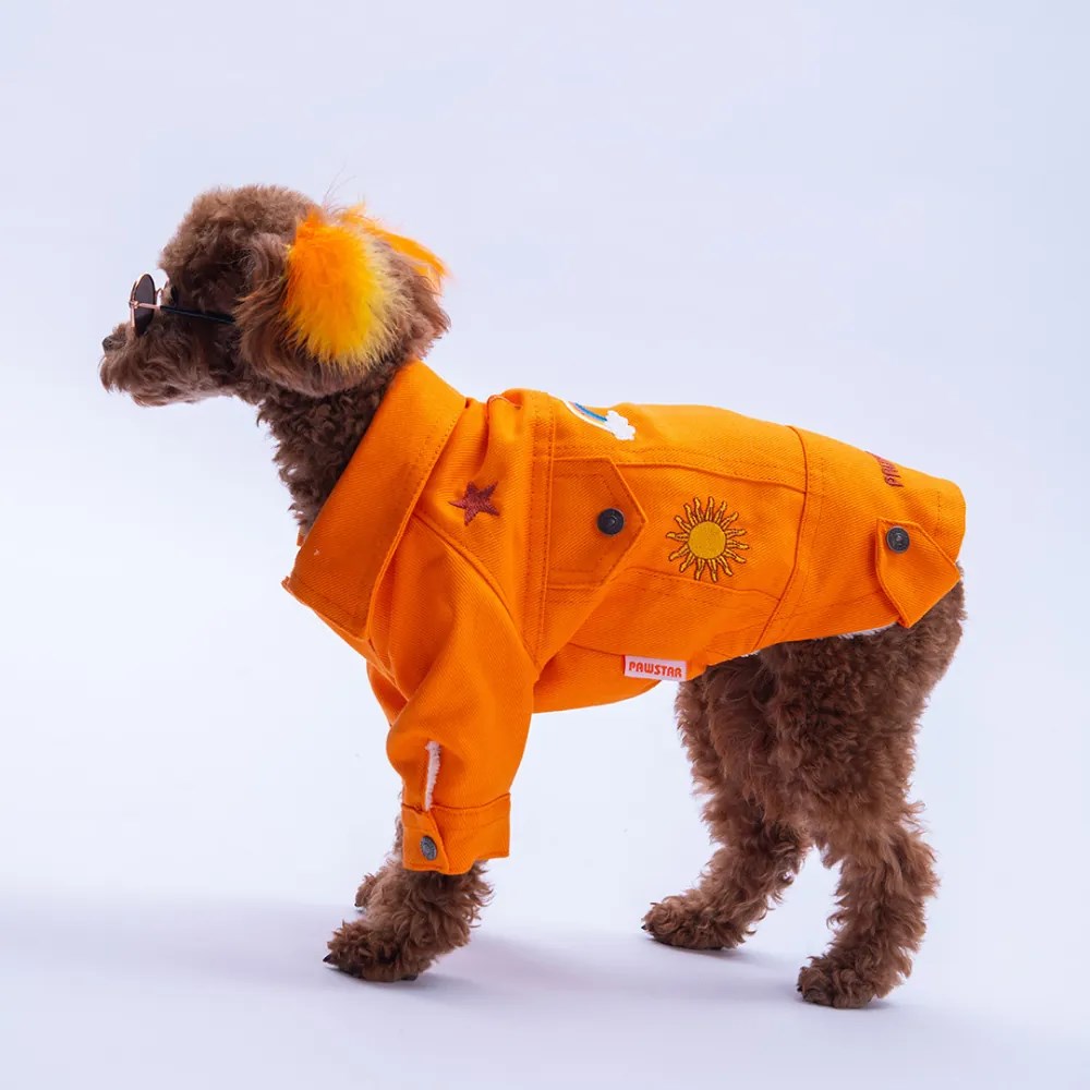 PawStar 25211-Turuncu Cancun Pop Ceket