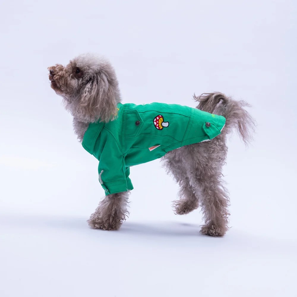 PawStar 25212-Yeşil  Cancun Pop Ceket