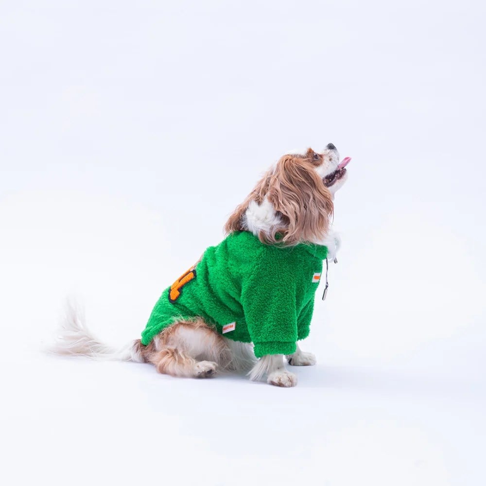 PawStar 25721 Yeşil Oslo Chill Sweat