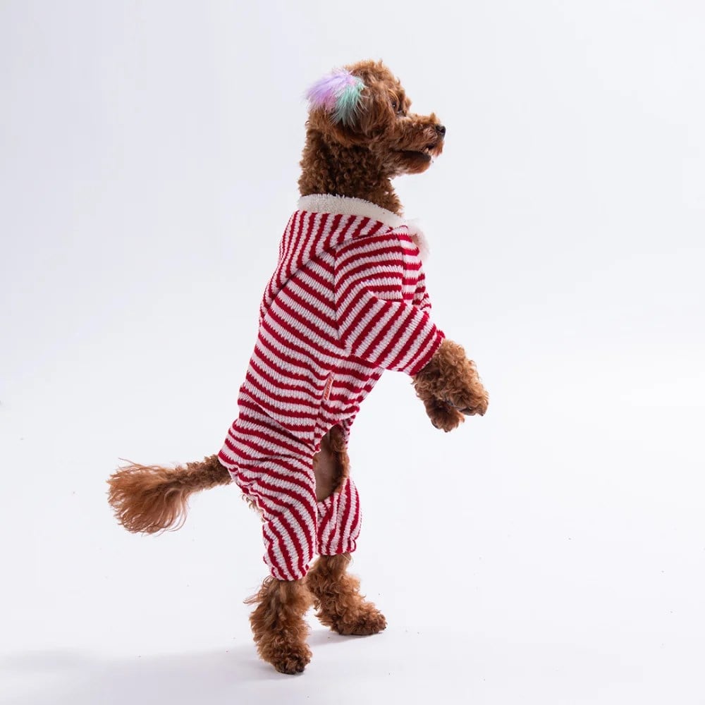 PawStar 25909- Elf Stripe Kapşonlu Tulum