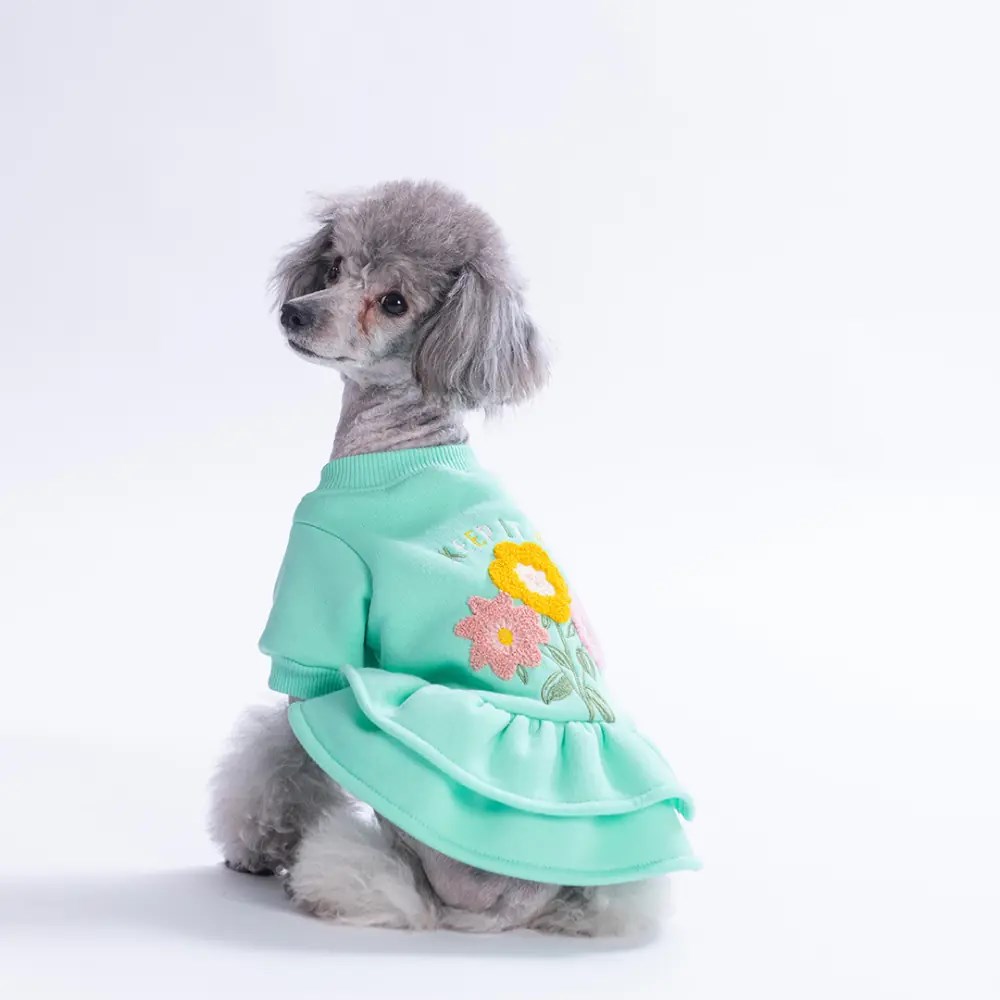 PawStar 26301-Mint Arosa Nivalis Elbise