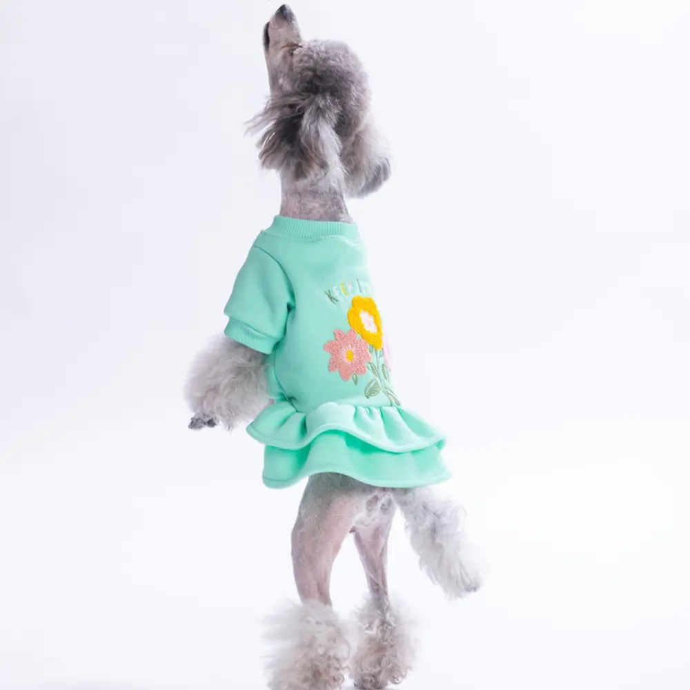 PawStar 26301-Mint Arosa Nivalis Elbise