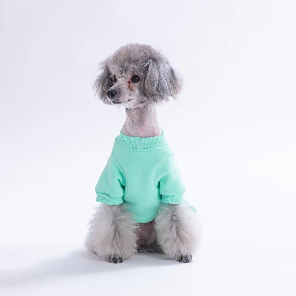 PawStar 26301-Mint Arosa Nivalis Elbise