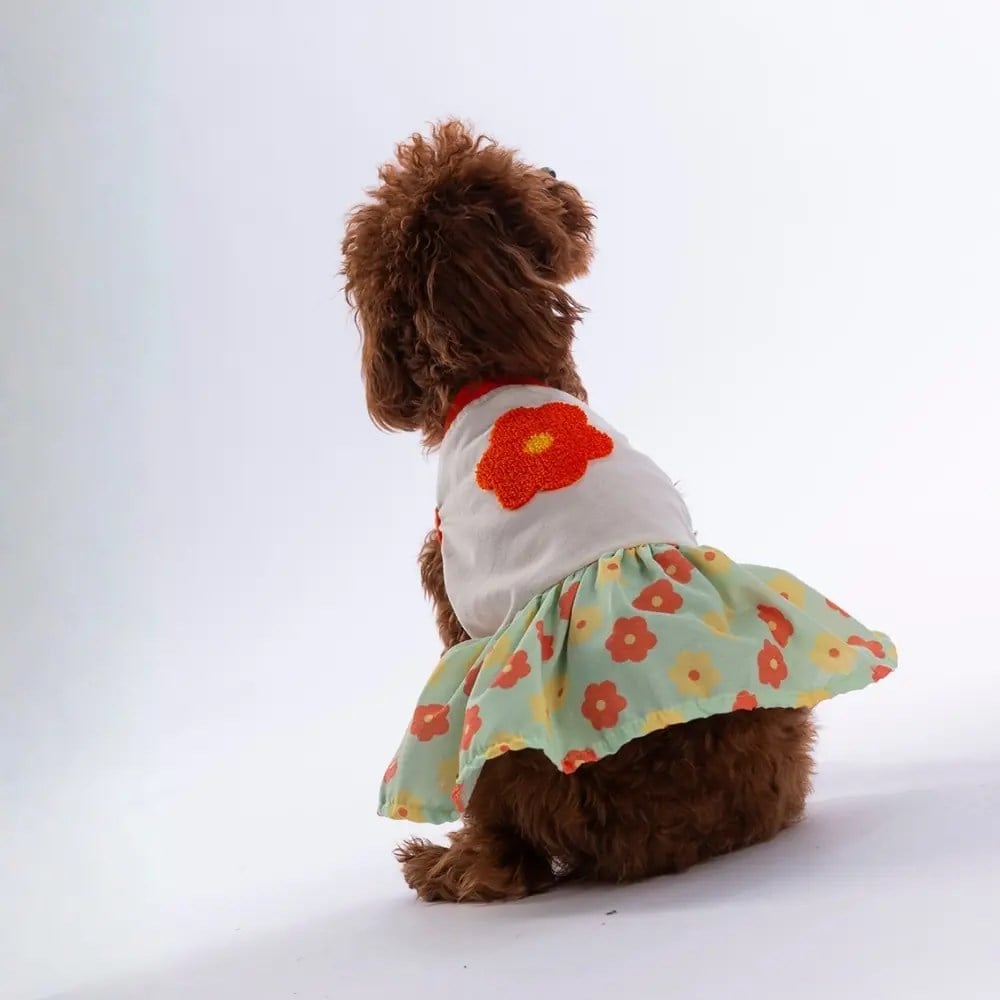 PawStar 26308 Florelle Elbise