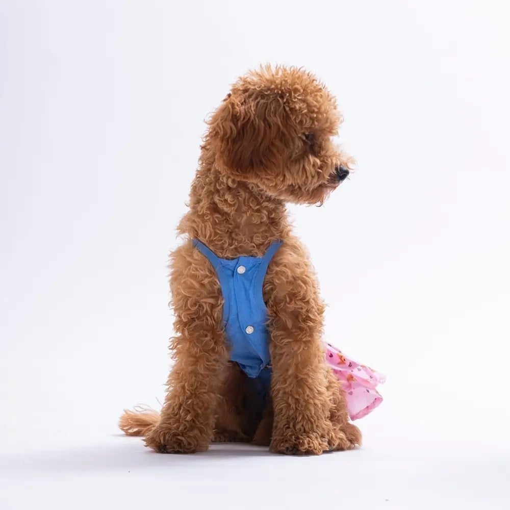 PawStar 26312 Cozie Bear Denim Elbise