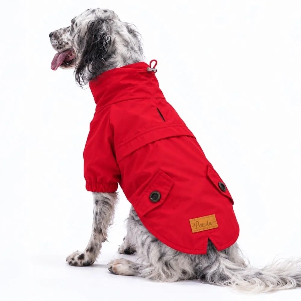 PawStar 26554 Kırmızı Glasgow Büyük Irk Yağmurluk