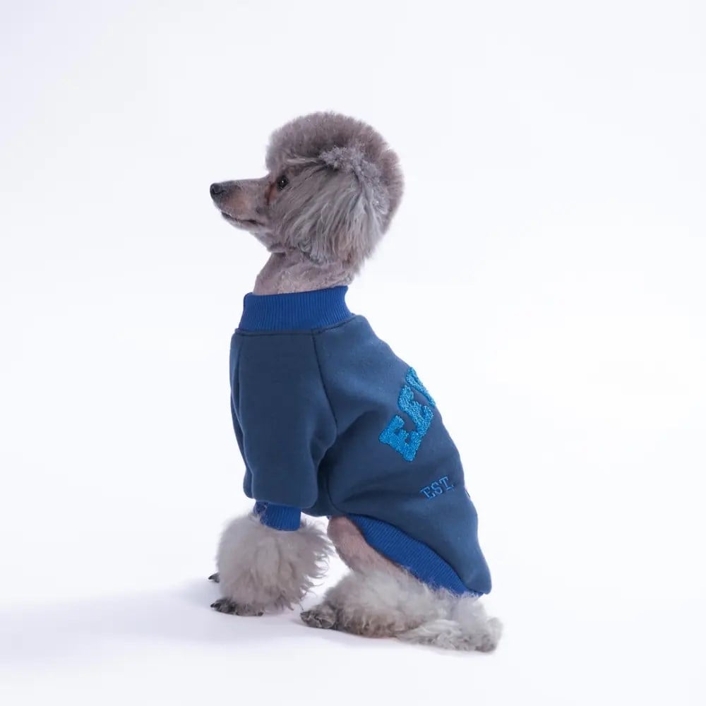 PawStar 26706-Eeyore Creek Dog Sweat
