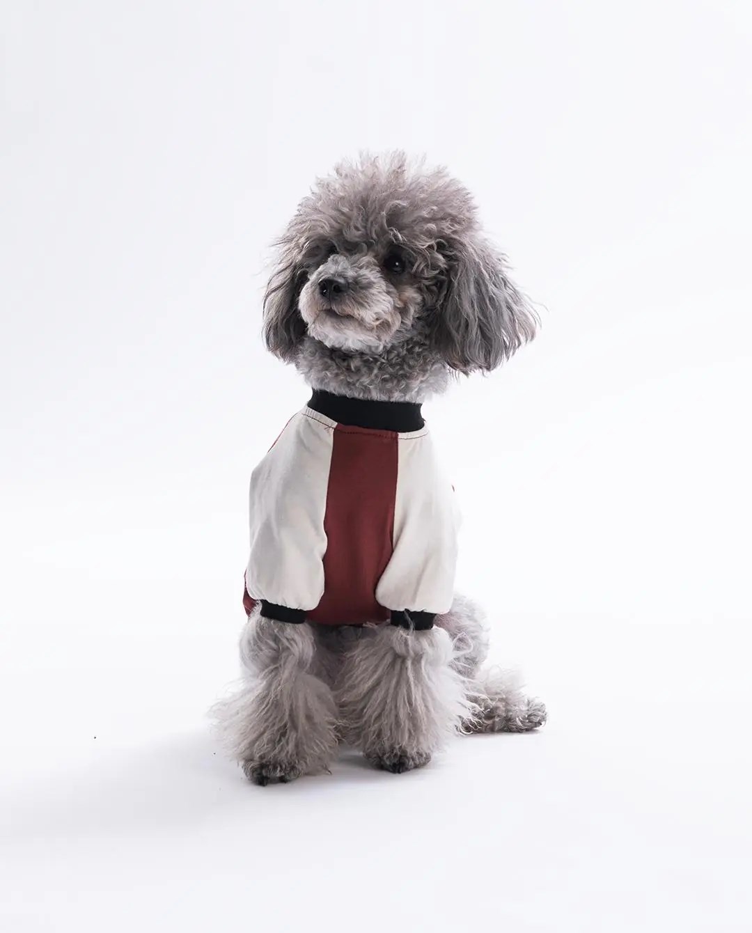 PawStar 26714 - Kahverengi Baby Teddy Sweat
