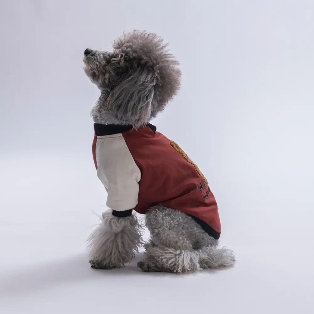 PawStar 26714 - Kahverengi Baby Teddy Sweat