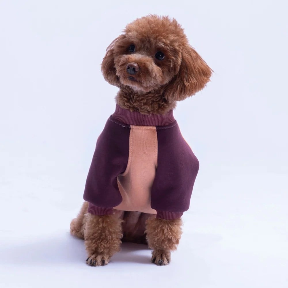 PawStar 26774 Somon Boston Pawstar Sweat