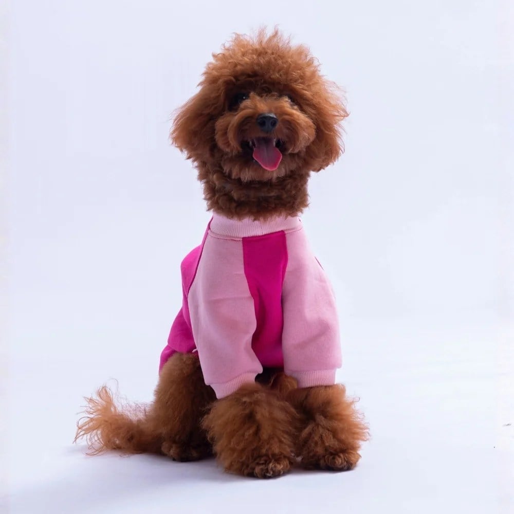 PawStar 26776 Fuşya Boston Pawstar Sweat