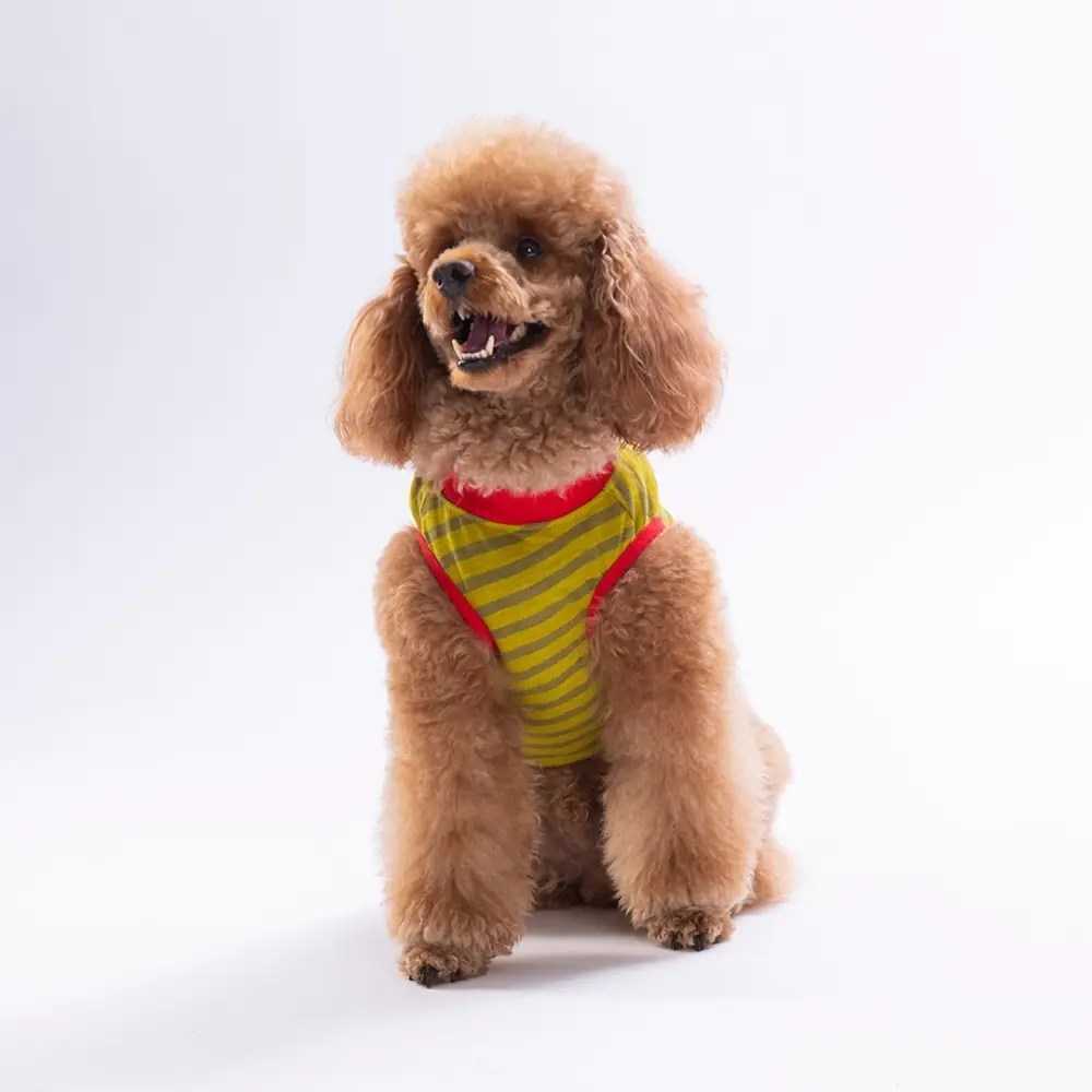 PawStar 26816 Lobster EmbroLine Tişört