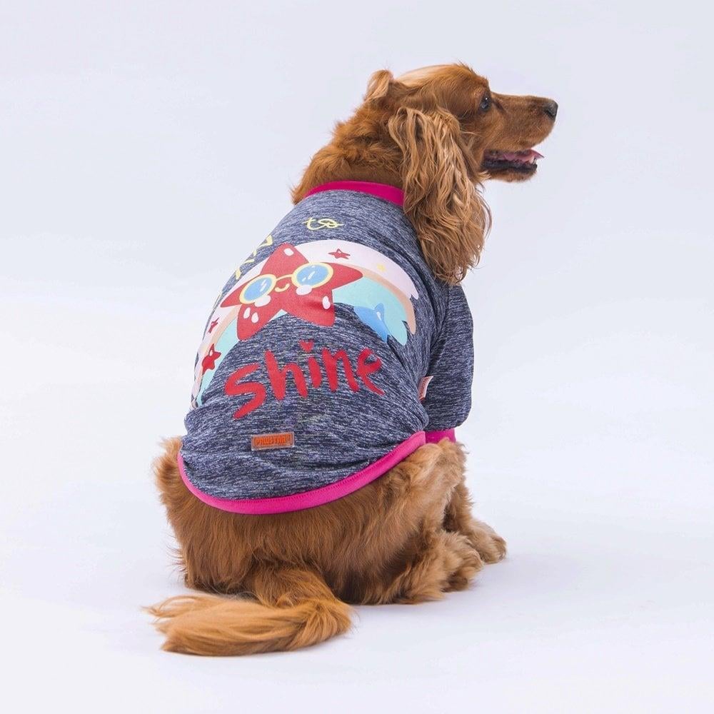 PawStar Antrasit Shine Küçük Irk Sweat