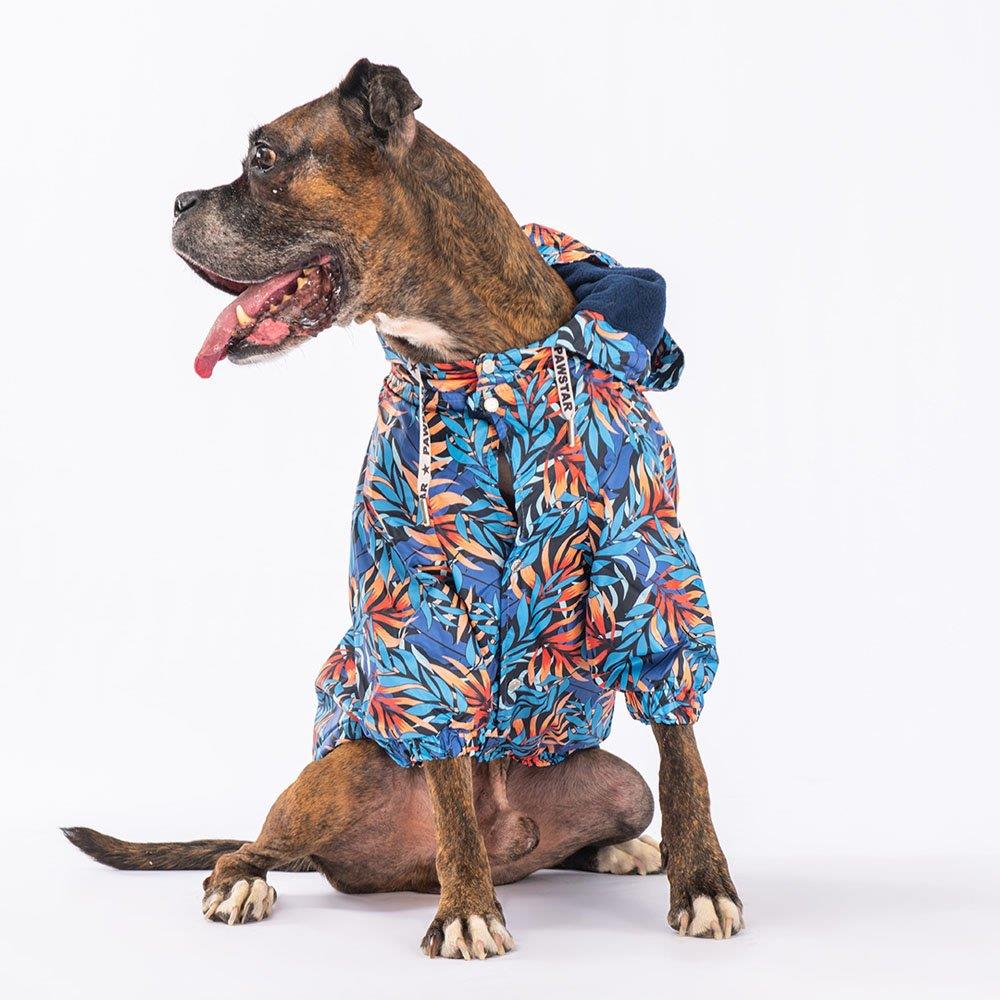 PawStar Autumna Large Breed Raincoat