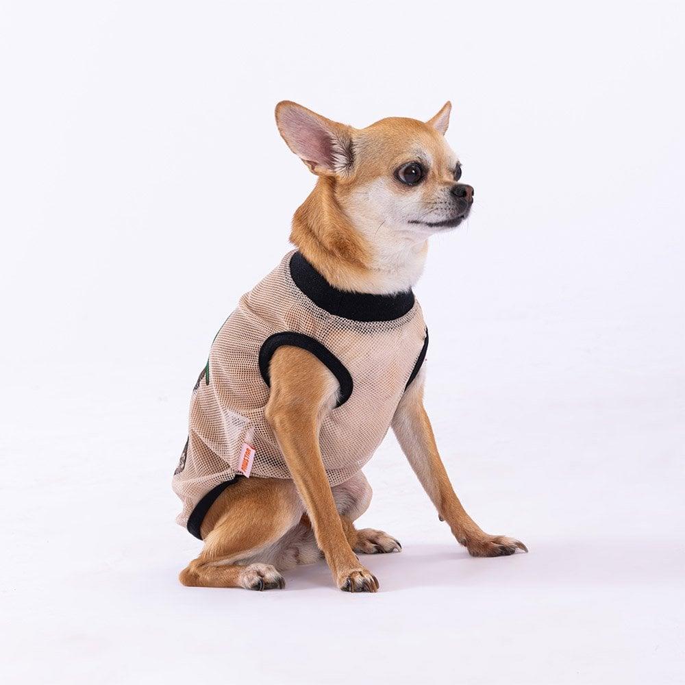 PawStar Bear Mesh T-Shirt