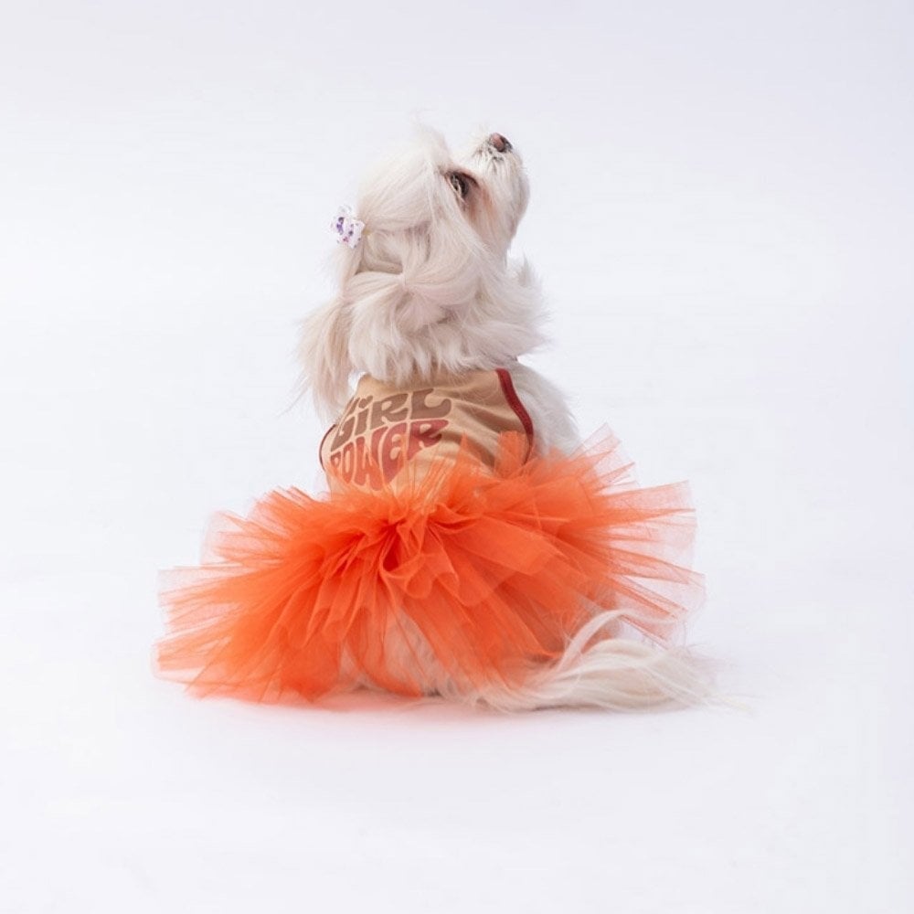 PawStar Bej Girl Power Elbise