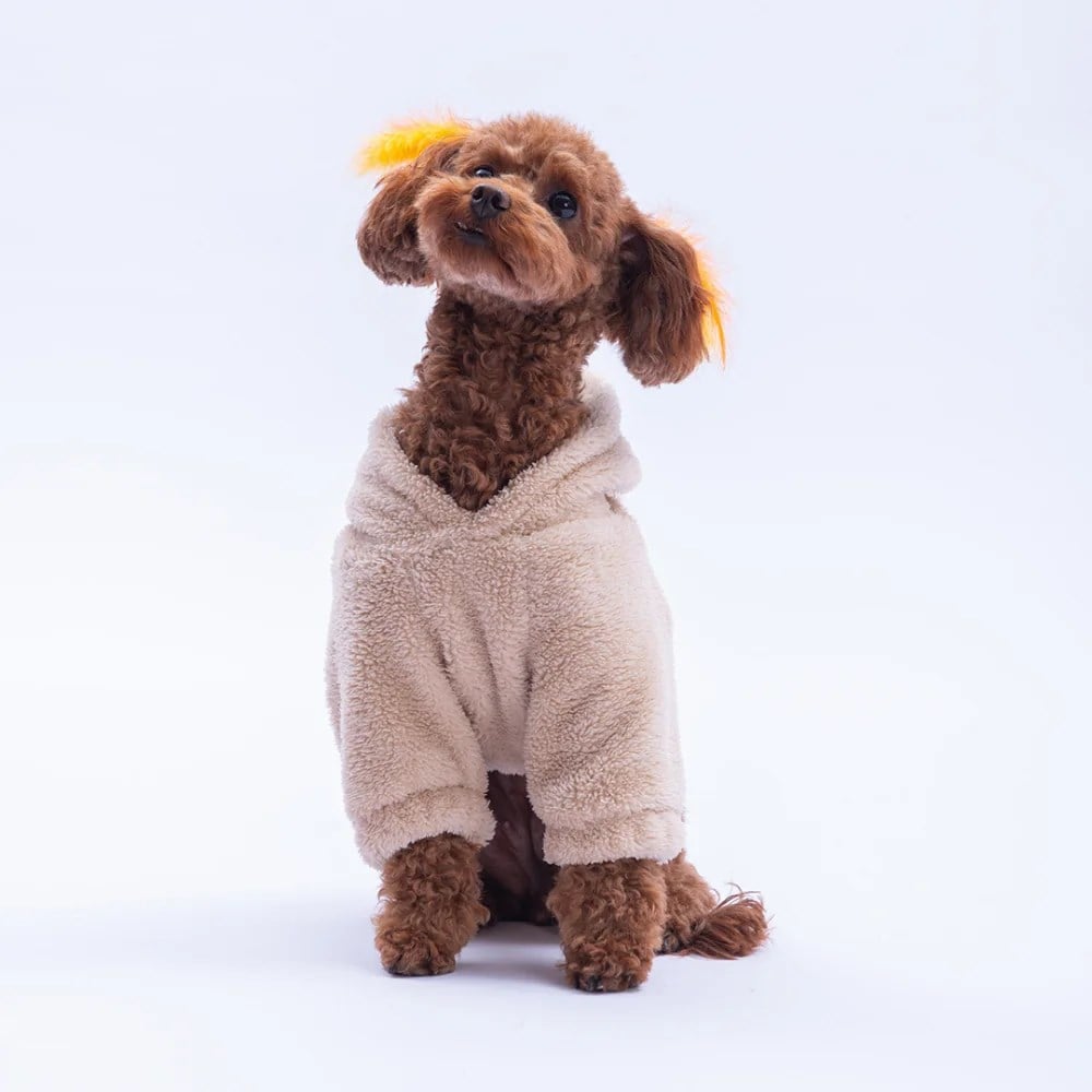 PawStar Bej Lucca Teddy Hoodie Küçük ve Orta Irk