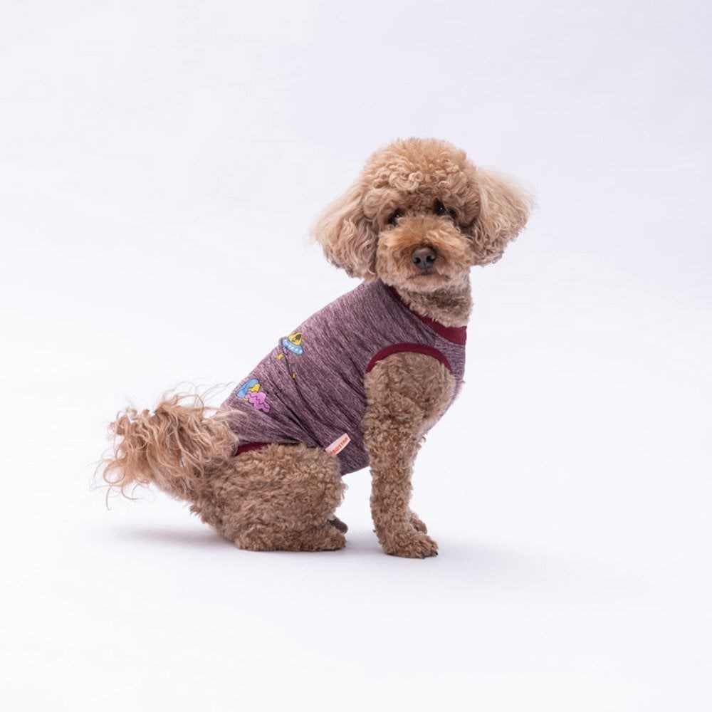 PawStar Bordo Space Time T-Shirt Küçük Irk