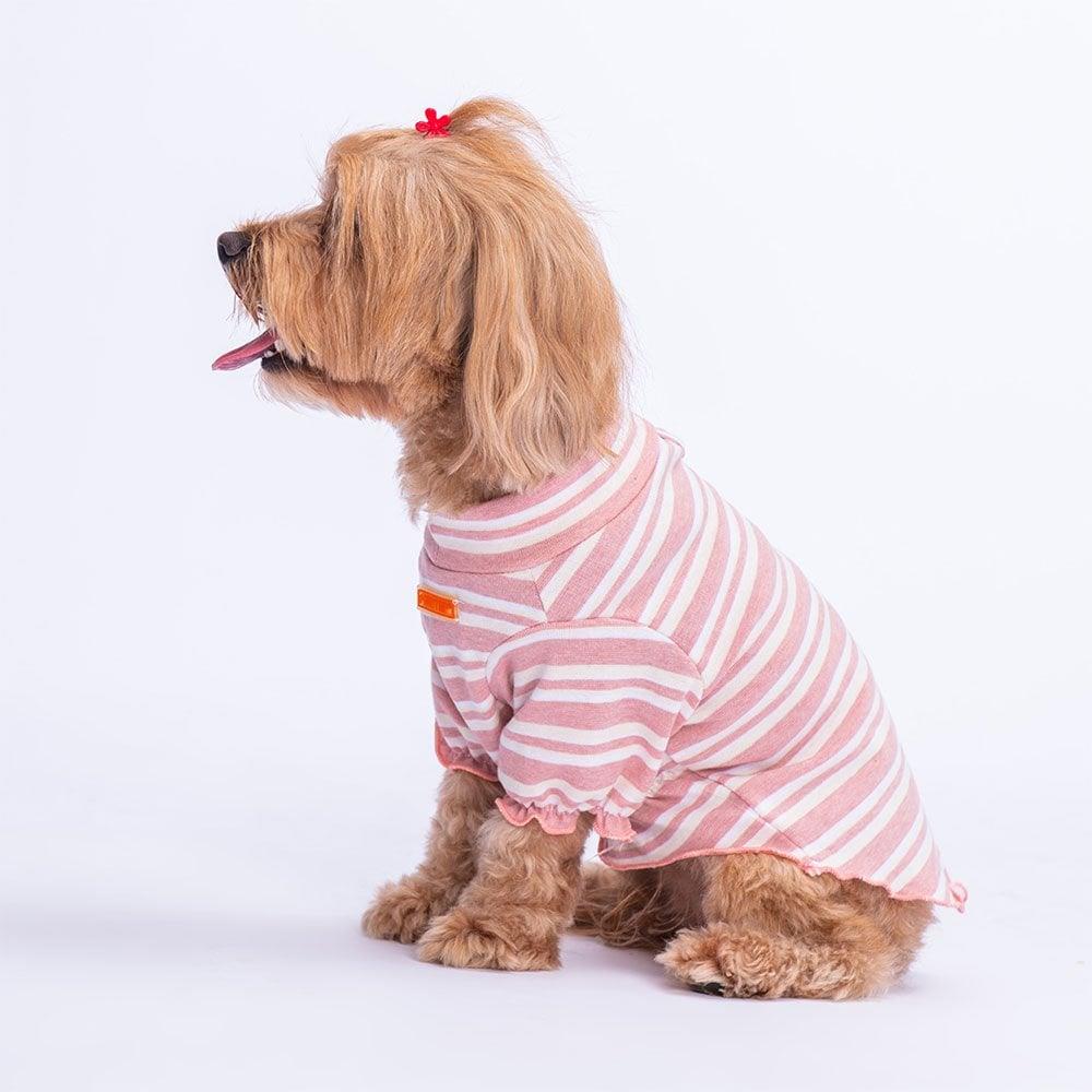 PawStar Ciliegia Küçük ve Orta Irk Sweat
