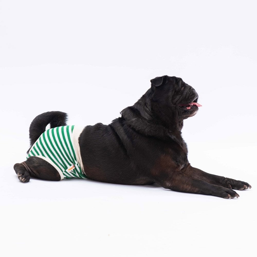 PawStar Çizgili Çamaşır (Paket de Farklı  Renkte 3 Adet Bulunur)