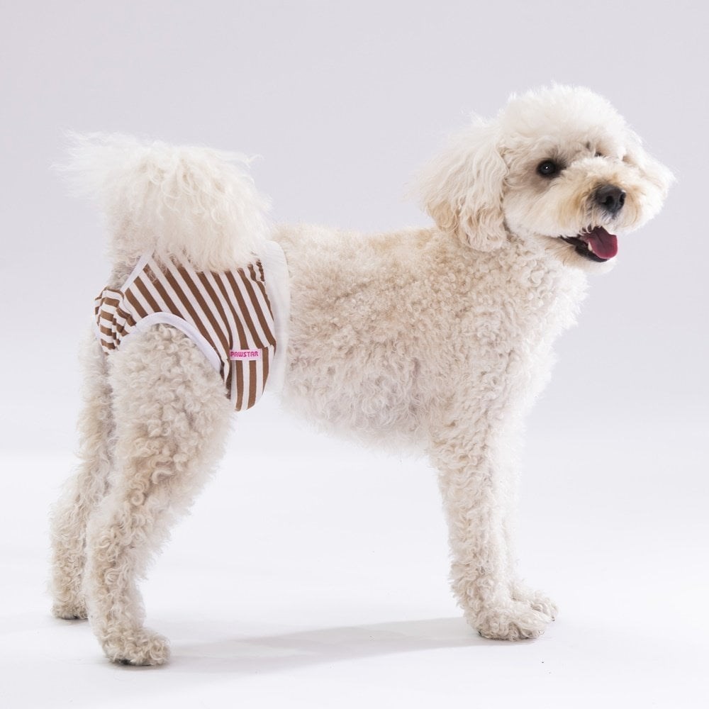 PawStar Çizgili Çamaşır (Paket de Farklı  Renkte 3 Adet Bulunur)