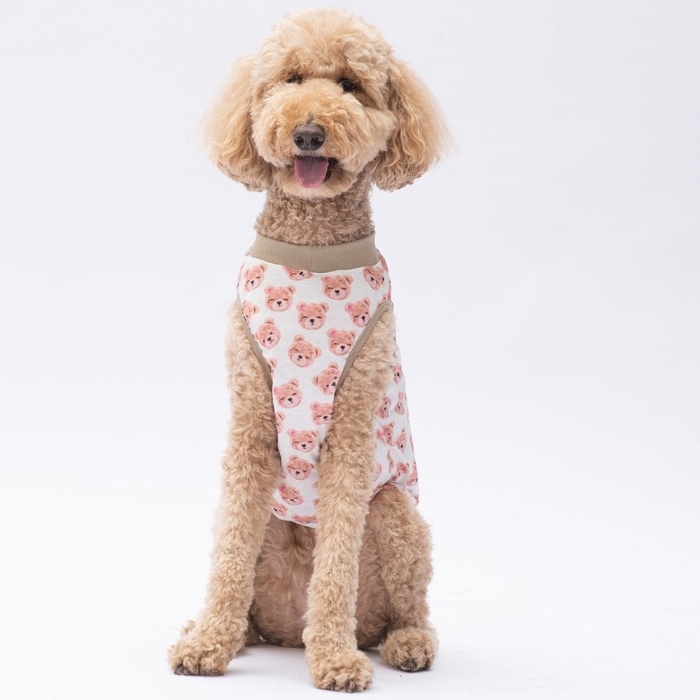 PawStar Cute Bears T-Shirt Büyük Irk