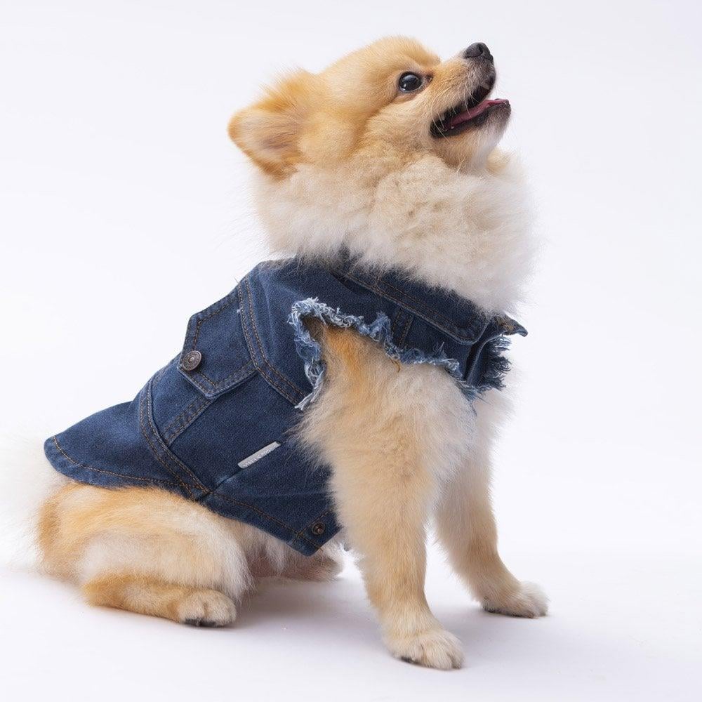 PawStar Denim Vest