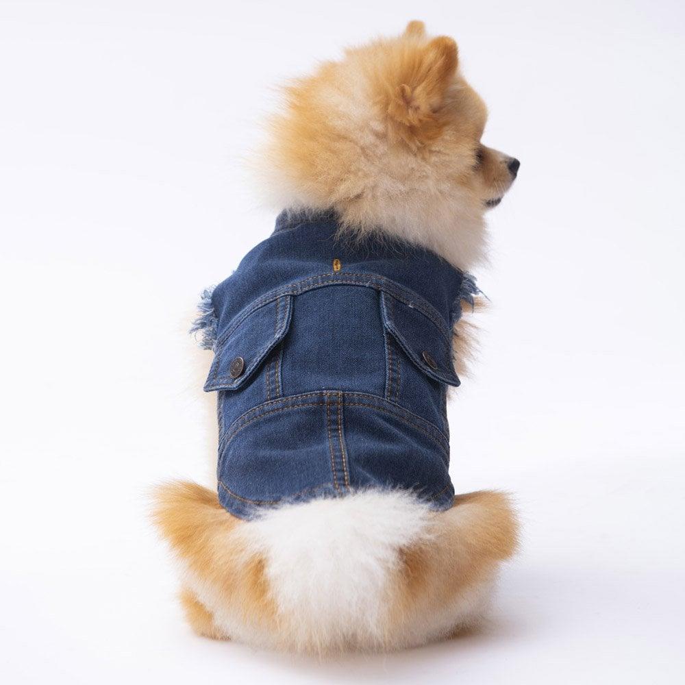 PawStar Denim Vest