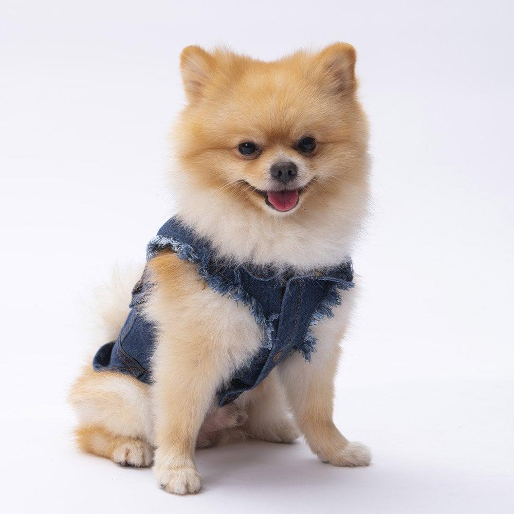 PawStar Denim Vest